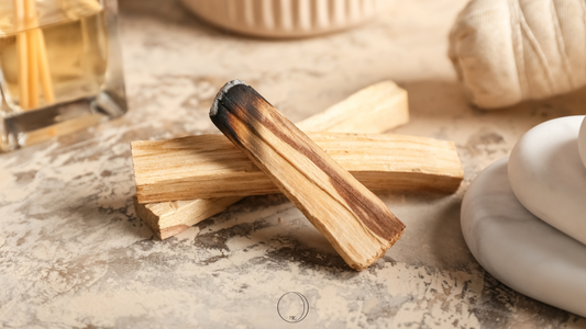 Découvrez les Bienfaits et les Usages du Palo Santo : Un Bois Sacré pour la Purification et l'Élévation Spirituelle