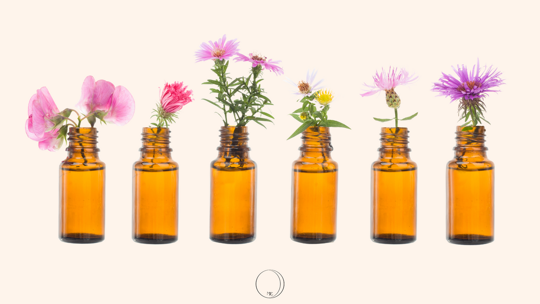 Découvrez les Fleurs de Bach : Guide Complet pour l'Équilibre Émotionnel et le Bien-Être