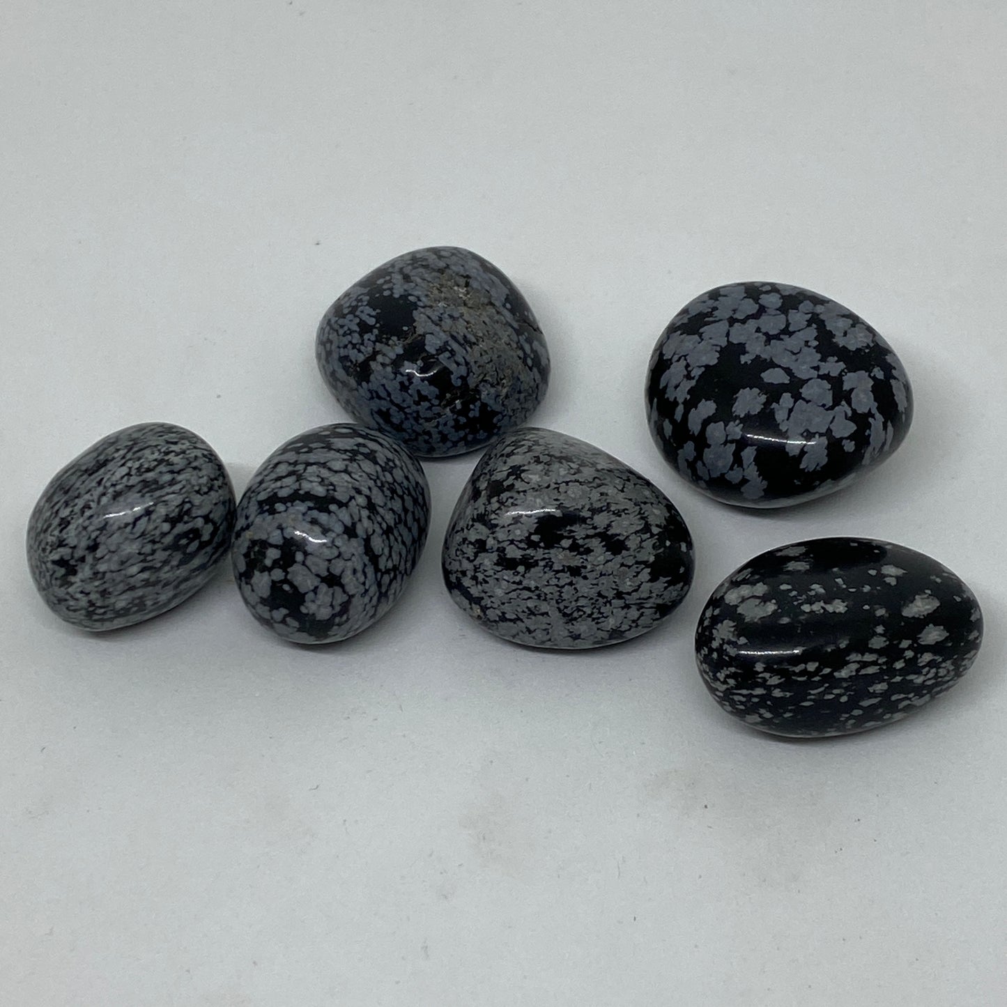 Piedra rodada obsidiana moteada o copo de nieve