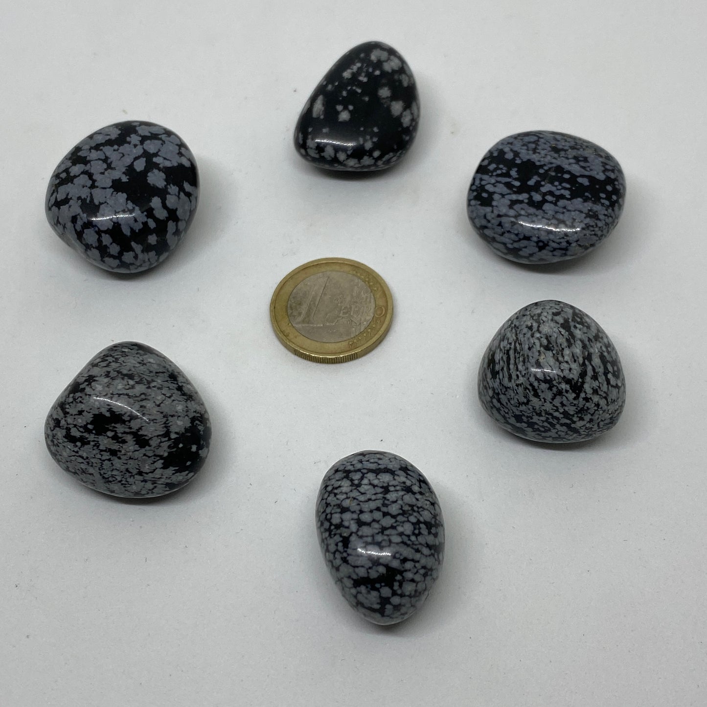 Piedra rodada obsidiana moteada o copo de nieve