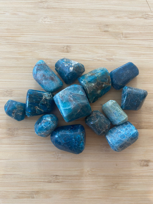 Avec ses nuances allant du bleu clair au bleu profond, l’apatite bleue roulée attire le regard par sa couleur intense et lumineuse. Ce minéral est apprécié des collectionneurs pour ses teintes caractéristiques. En lithothérapie, il est traditionnellement associé à la communication, à l’expression personnelle et à la motivation. Une pierre colorée qui trouvera facilement sa place dans ta collection de minéraux !