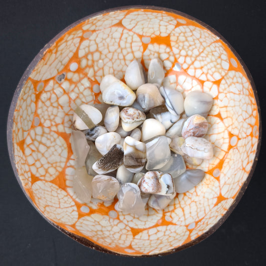 Avec ses nuances blanches, crème ou laiteuses, la pierre roulée en opale blanche séduit par son apparence douce et lumineuse. En lithothérapie, elle est traditionnellement associée à la douceur, à la sérénité et à l'intuition. Son format roulé permet de l'emporter facilement avec soi ou de l'ajouter à une collection de pierres naturelles.